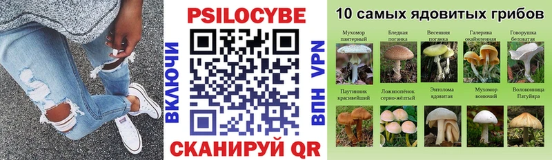 где найти Черняховск это формула Галлюциногенные грибы мухоморы
