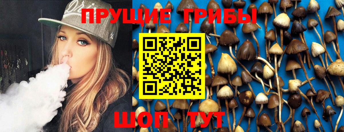 Псилоцибиновые грибы Psilocybine cubensis Черняховск